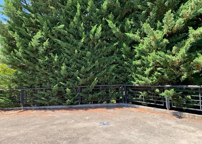 Rokia - Au Fil De L*eau Руайя